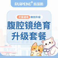 阿闻天津 | 腹腔镜微创绝育 猫咪